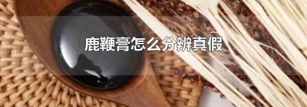 鹿鞭膏怎么分辨真假