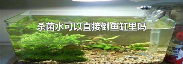 杀菌水可以直接倒鱼缸里吗