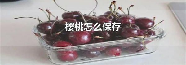 樱桃怎么保存