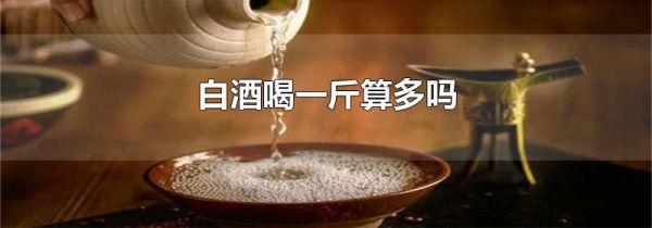 白酒喝一斤算多吗