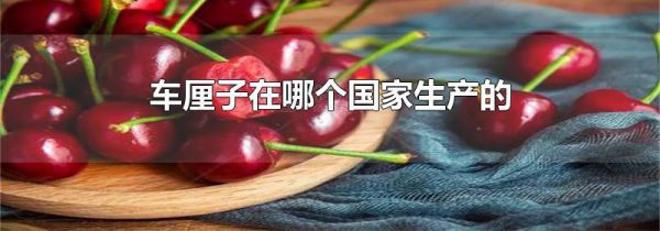 车厘子在哪个国家生产的