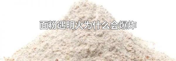 面粉遇明火为什么会爆炸