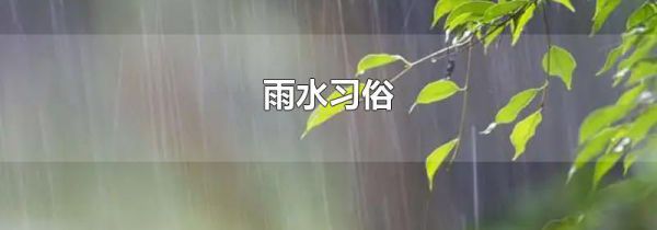 雨水习俗