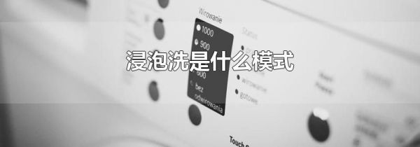 浸泡洗是什么模式