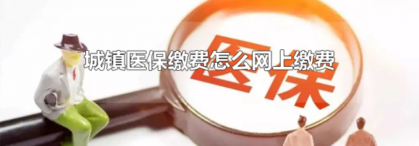 城镇医保缴费怎么网上缴费
