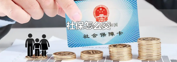 社保怎么交