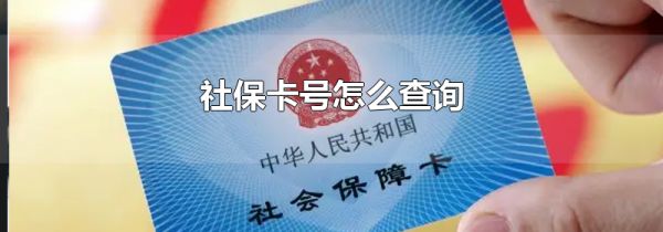 社保卡号怎么查询