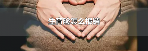 生育险怎么报销
