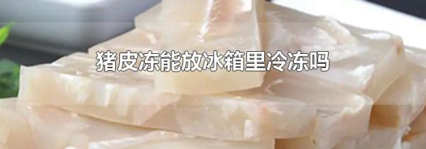 猪皮冻能放冰箱里冷冻吗