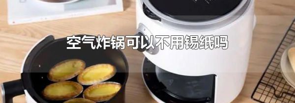空气炸锅可以不用锡纸吗