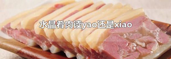水晶肴肉读yao还是xiao