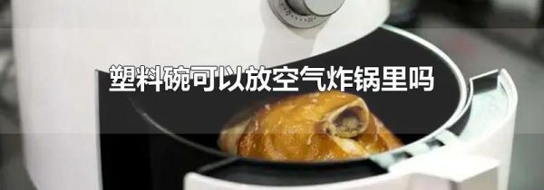 塑料碗可以放空气炸锅里吗