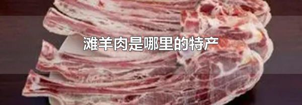 滩羊肉是哪里的特产