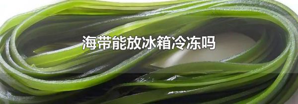 海带能放冰箱冷冻吗