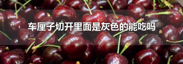 车厘子切开里面是灰色的能吃吗