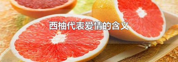 西柚代表爱情的含义