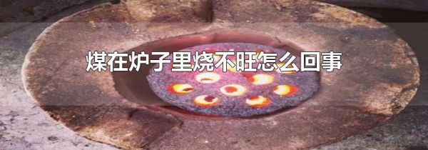 煤在炉子里烧不旺怎么回事