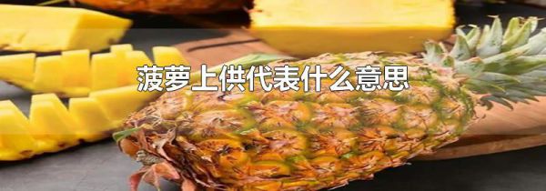 菠萝上供代表什么意思