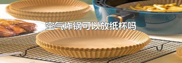 空气炸锅可以放纸杯吗