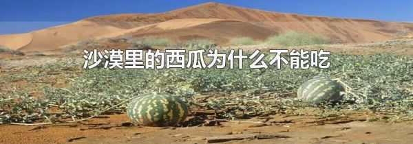 沙漠里的西瓜为什么不能吃
