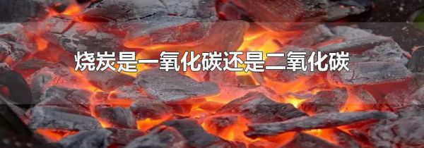 烧炭是一氧化碳还是二氧化碳