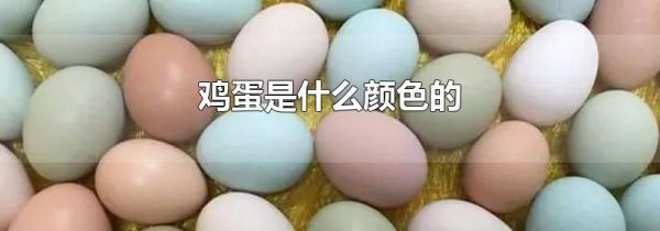 鸡蛋是什么颜色的