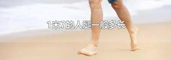 1米7的人腿一般多长
