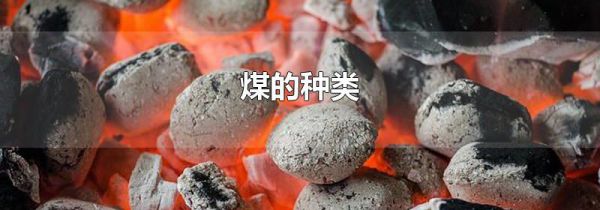 煤的种类