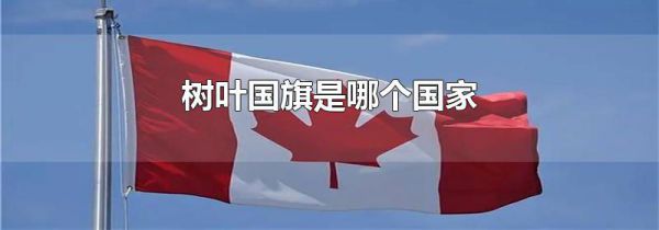 树叶国旗是哪个国家