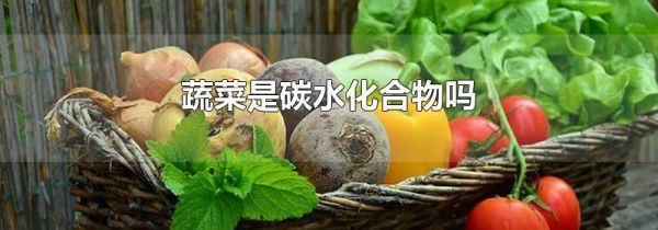 蔬菜是碳水化合物吗