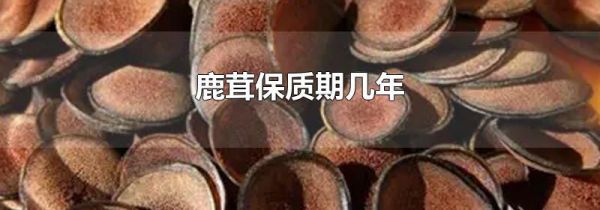 鹿茸保质期几年