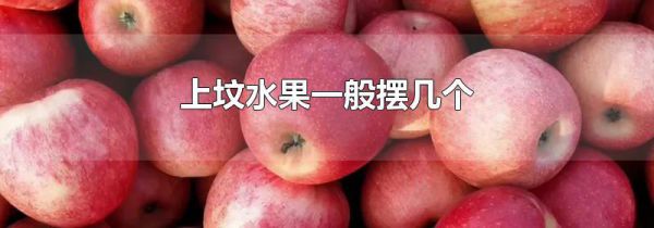 上坟水果一般摆几个