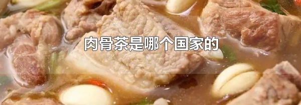 肉骨茶是哪个国家的