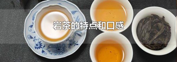 岩茶的特点和口感