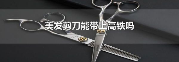 美发剪刀能带上高铁吗