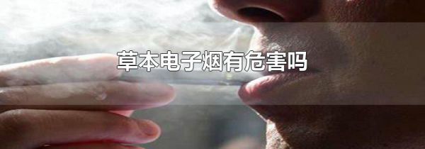 草本电子烟有危害吗