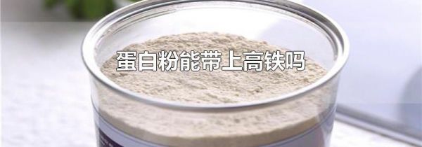 蛋白粉能带上高铁吗