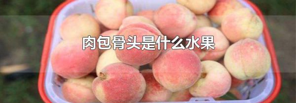肉包骨头是什么水果