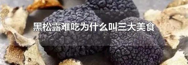 黑松露难吃为什么叫三大美食