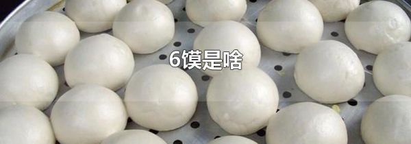 6馍是啥
