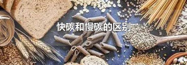 快碳和慢碳的区别