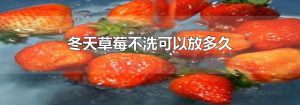 冬天草莓不洗可以放多久