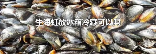 生海虹放冰箱冷藏可以吗
