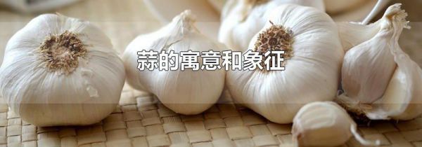 蒜的寓意和象征