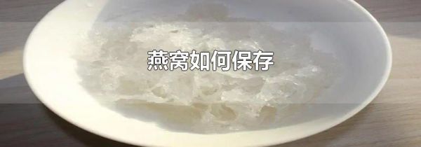 燕窝如何保存