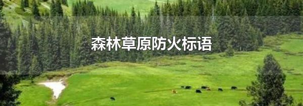 森林草原防火标语