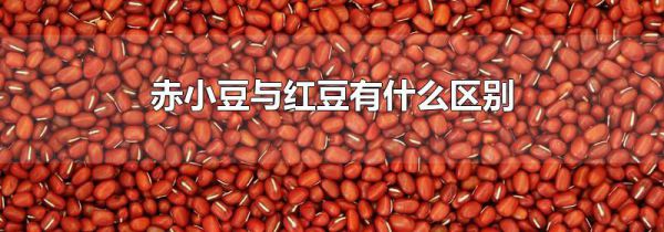 赤小豆与红豆有什么区别