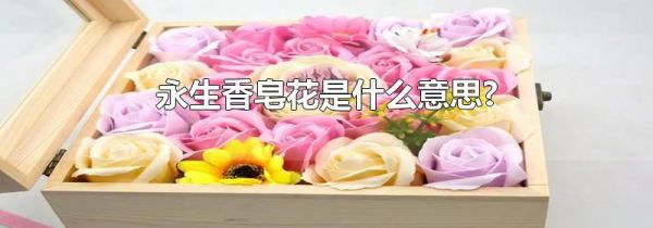 永生香皂花是什么意思?