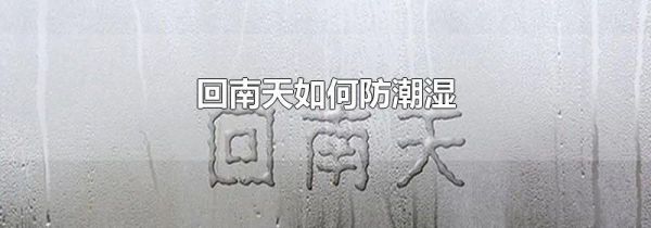回南天如何防潮湿