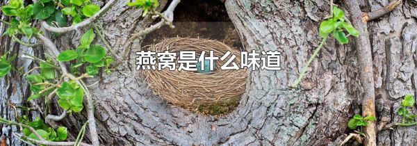 燕窝是什么味道